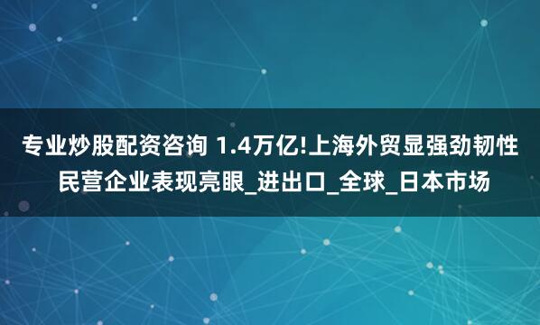 专业炒股配资咨询 1.4万亿!上海外贸显强劲韧性 民营企业表现亮眼_进出口_全球_日本市场