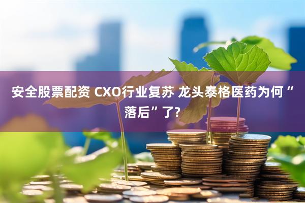 安全股票配资 CXO行业复苏 龙头泰格医药为何“落后”了?