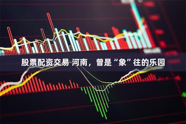 股票配资交易 河南，曾是“象”往的乐园